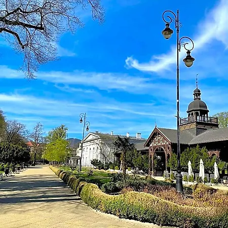 Bohema